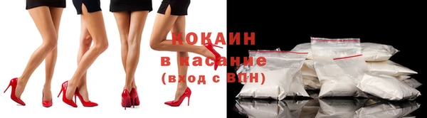 прущие грибы Санкт-Петербург