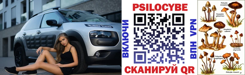 Купить закладки  Ладушкин  Псилоцибиновые грибы ЛСД 