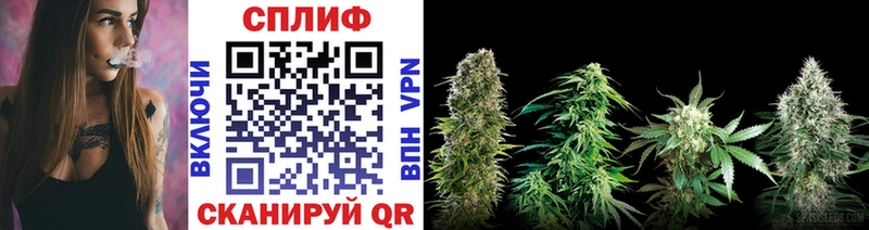 Канабис SATIVA & INDICA  Купить где  Ладушкин 